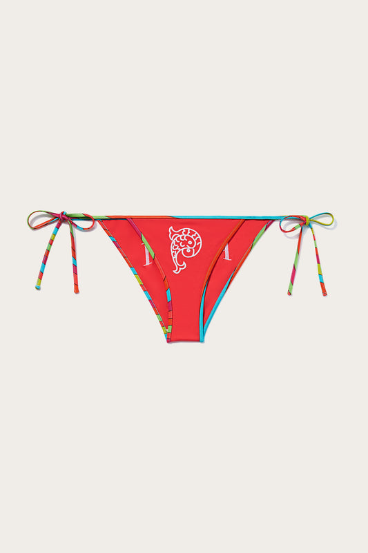 Pucci P-Print Bikini Briefs