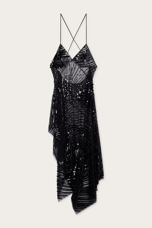 Embroidered Tulle Dress