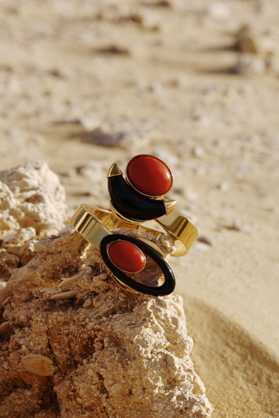 ACCESSORI